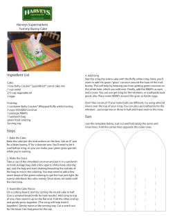 the instructions for the bunny cake.