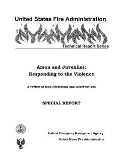 TR-095, Arson and Juveniles: Responding to the Violence