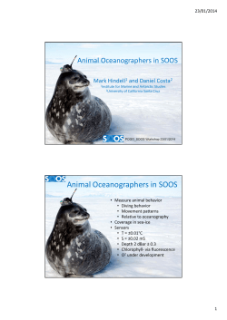 Animal Oceanographers in SOOS