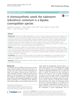 A chemosynthetic weed: the tubeworm Sclerolinum contortum is a