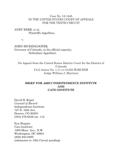 Amicus brief