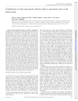 Contributions of skin and muscle afferent input to movement sense