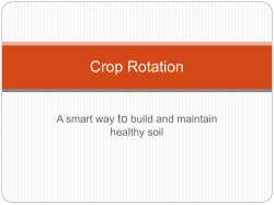 Crop Rotation - Bertrand Farm