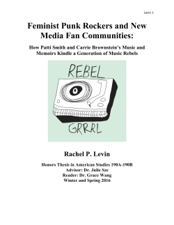 Feminist Punk Rockers and New Media Fan
