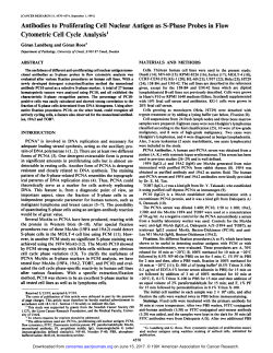 Antibodies to Proliferating Cell Nuclear Antigen
