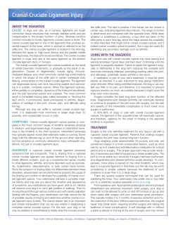 Client Education Sheets (English)