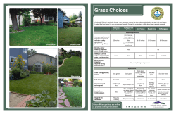 Grass Choices - Colorado Springs Utilities