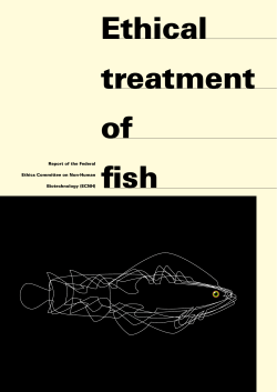 Ethical treatment of fish