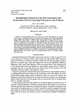 1 2 Carrying R Factors or the F Factor