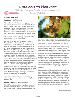Enology Notes - Cornell Enology