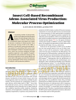 Insect Cell-Based Recombinant Adeno-Associated Virus