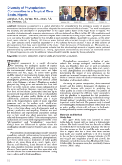 Diversity of Phytoplankton Communities in a Tropical River Basin