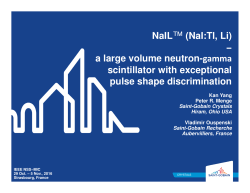 NaIL&trade; (NaI:Tl, Li) &minus; a large volume neutron