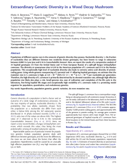 Article Extraordinary Genetic Diversity in a Wood