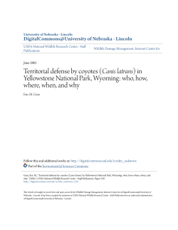 Territorial defense by coyotes - DigitalCommons@University of