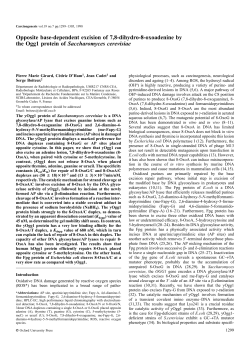 Opposite base-dependent excision of 7,8-dihydro