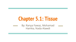 5-1-tissue-group1-hour-3