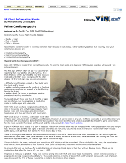 Feline Cardiomyopathy