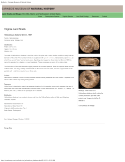 Mollusks : Carnegie Museum of Natural History