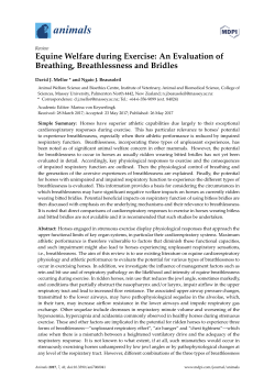 Full-Text PDF