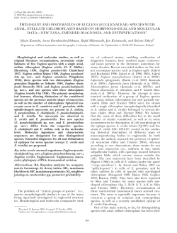 phylogeny and systematics of euglena (euglenaceae) species with