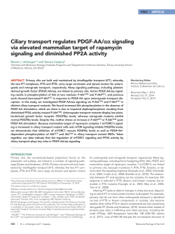Ciliary transport regulates PDGF-AA/&alpha;&alpha; signaling via elevated