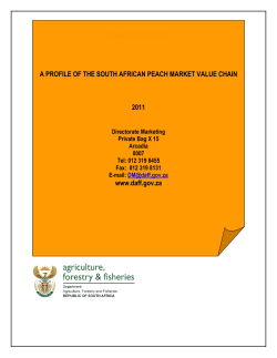 a profile of the south african peach market