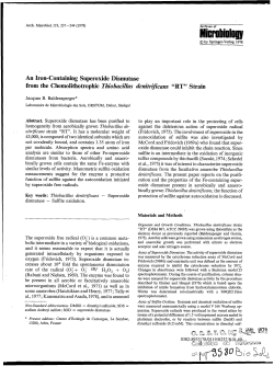 An Iron-Containing Superoxide Dismutase from the