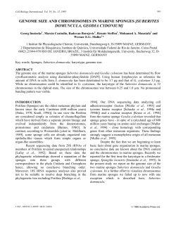 Genome size and chromosomes in marine sponges - IB-USP