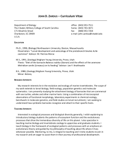 CURRICULUM VITAE