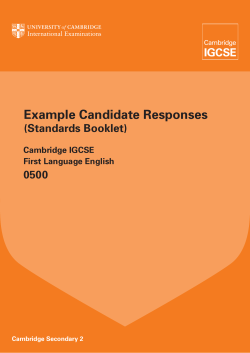 Example Candidate Responses