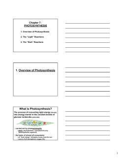 1. Overview of Photosynthesis What is Photosynthesis?