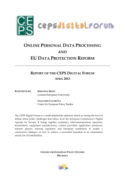 online personal data processing and eu data protection reform