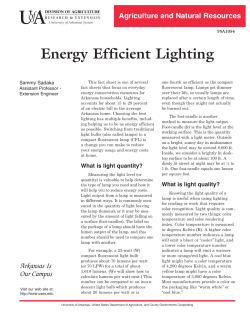 Energy Efficient Lighting - FSA1054