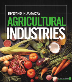 INVESTING IN JAMAICA`s - Jamaica Trade and Invest