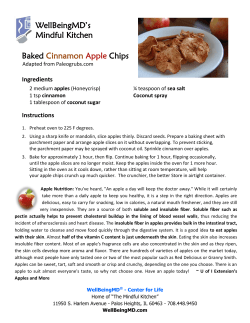 Baked Cinnamon Apple Chips