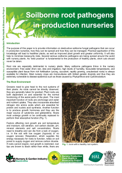 Soilborne root pathogens pdf 8 MB