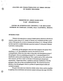 Soto, J. Analysis and characterization of vibrio species on marine