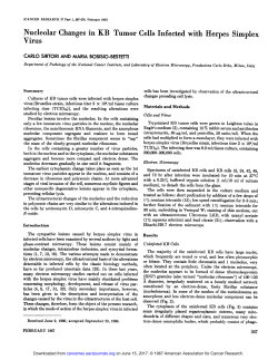 Nucleolar Changes in KB Tumor Cells Infected