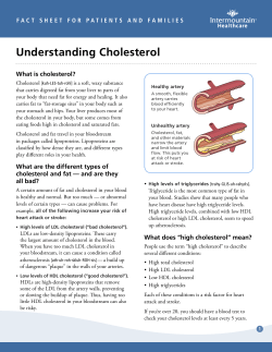 Cholesterol - Intermountain Healthcare
