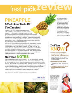 PINEAPPLE - Pine-Richland School District Student Well