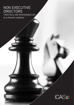 non executive directors