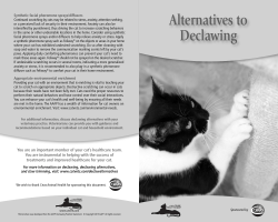 Alternatives to Declawing