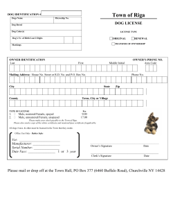 Dog License Form