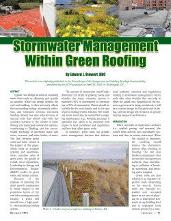 Stormwater Management Within Green Roofing