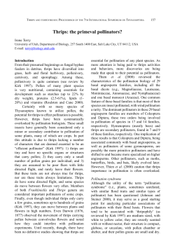 Thrips: the primeval pollinators?