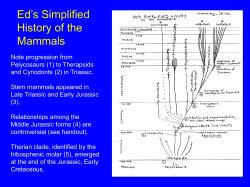 Ed`s Simplified History of the Mammals