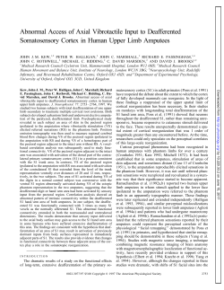 Abnormal Access of Axial Vibrotactile Input to Deafferented