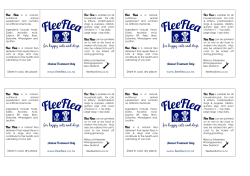 A4  PDF File