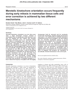 Merotelic kinetochore orientation occurs frequently during early